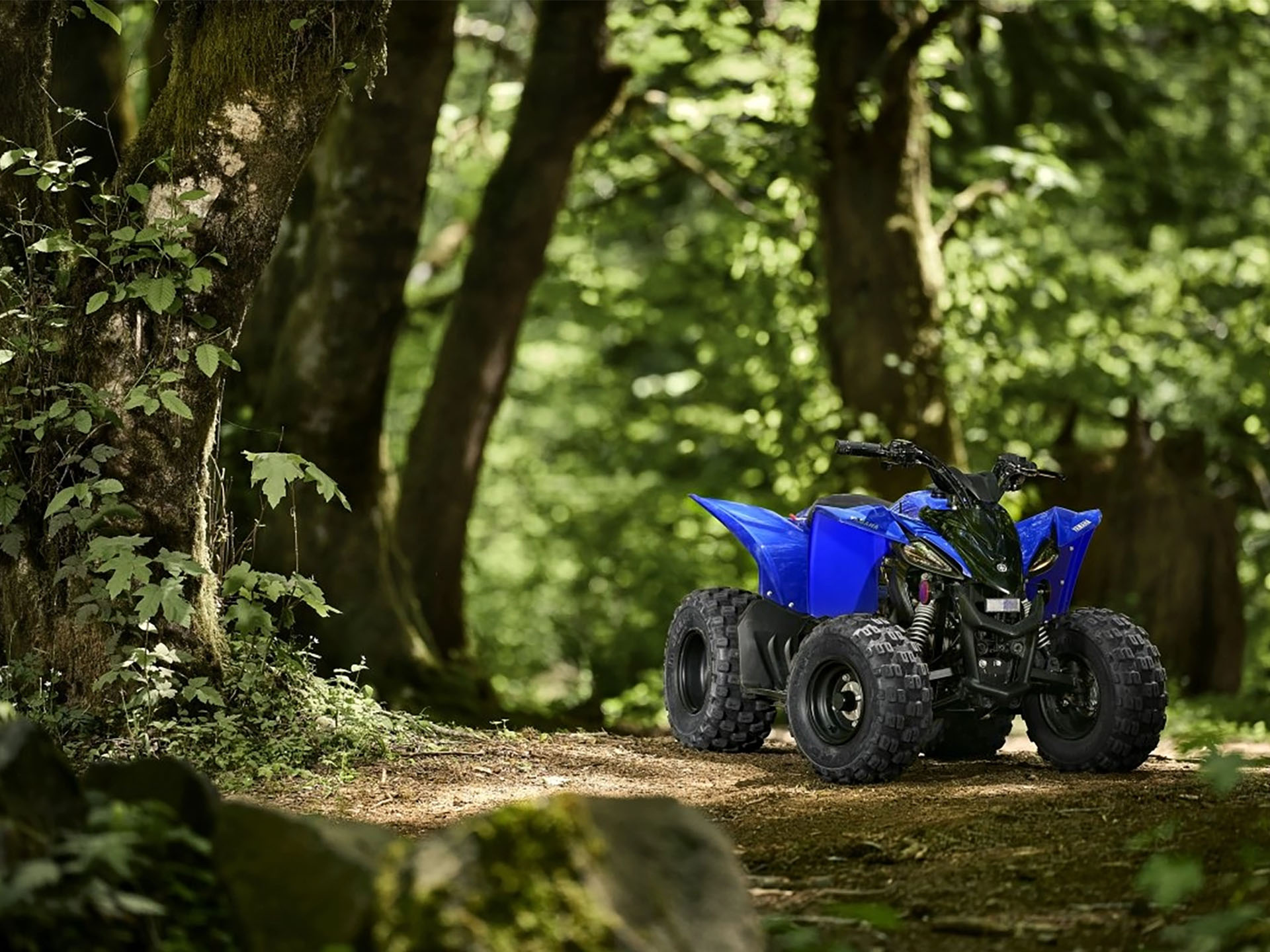 2025 Yamaha YFZ50 in Topeka, Kansas - Photo 7