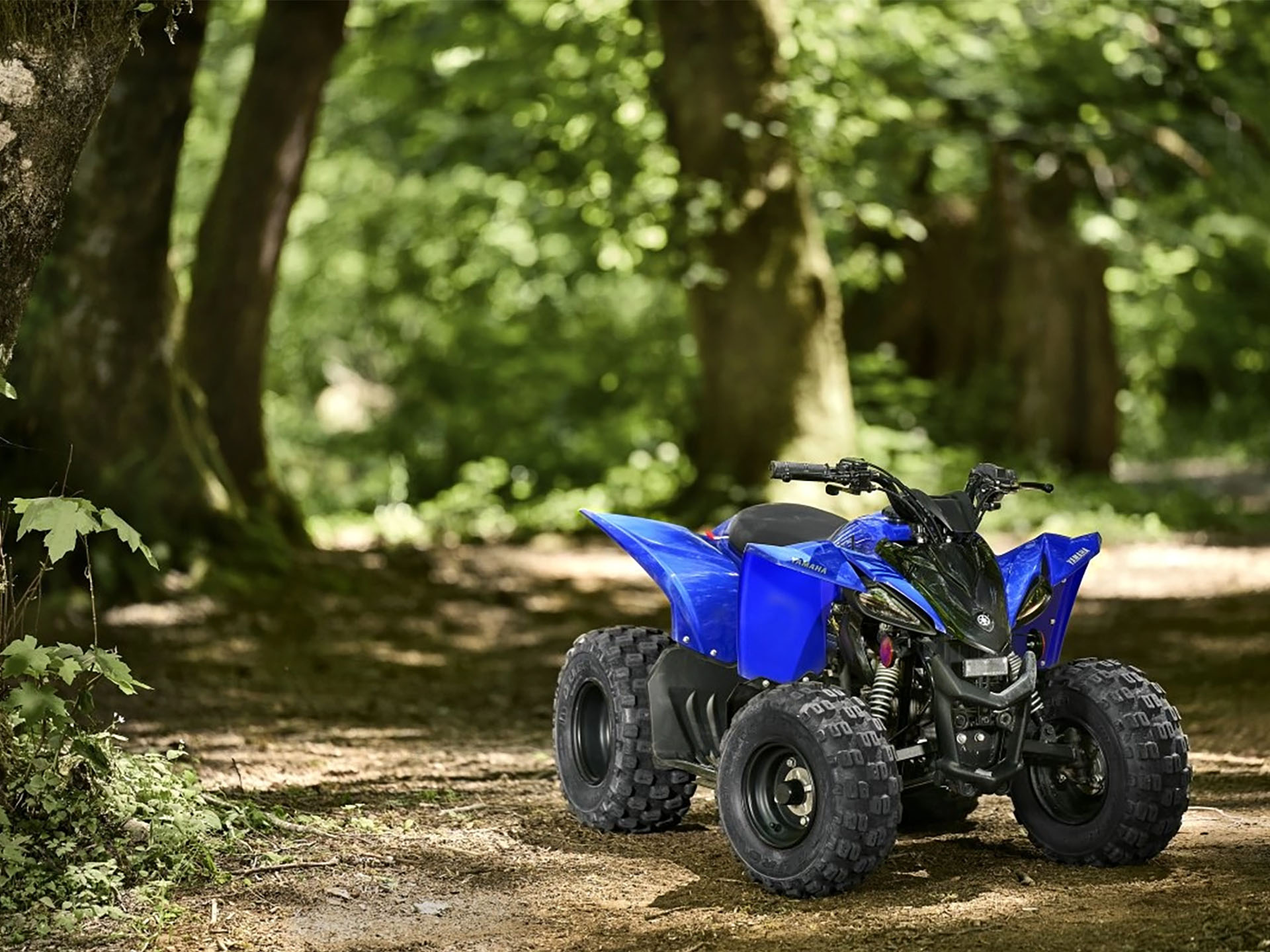 2025 Yamaha YFZ50 in Topeka, Kansas - Photo 8