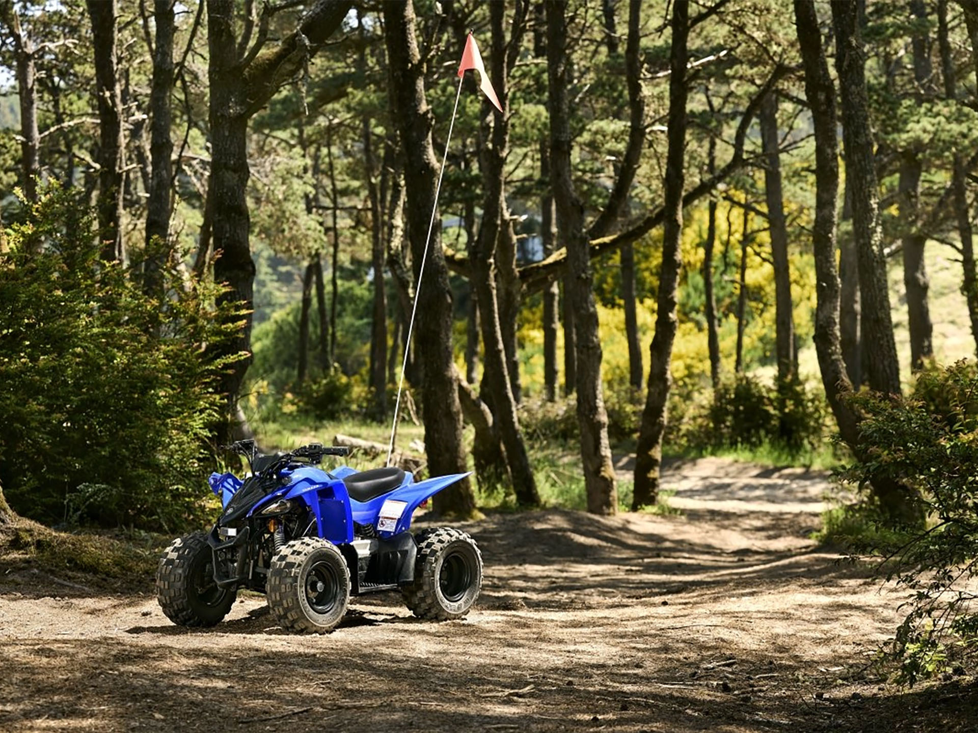 2025 Yamaha YFZ50 in Eugene, Oregon - Photo 10