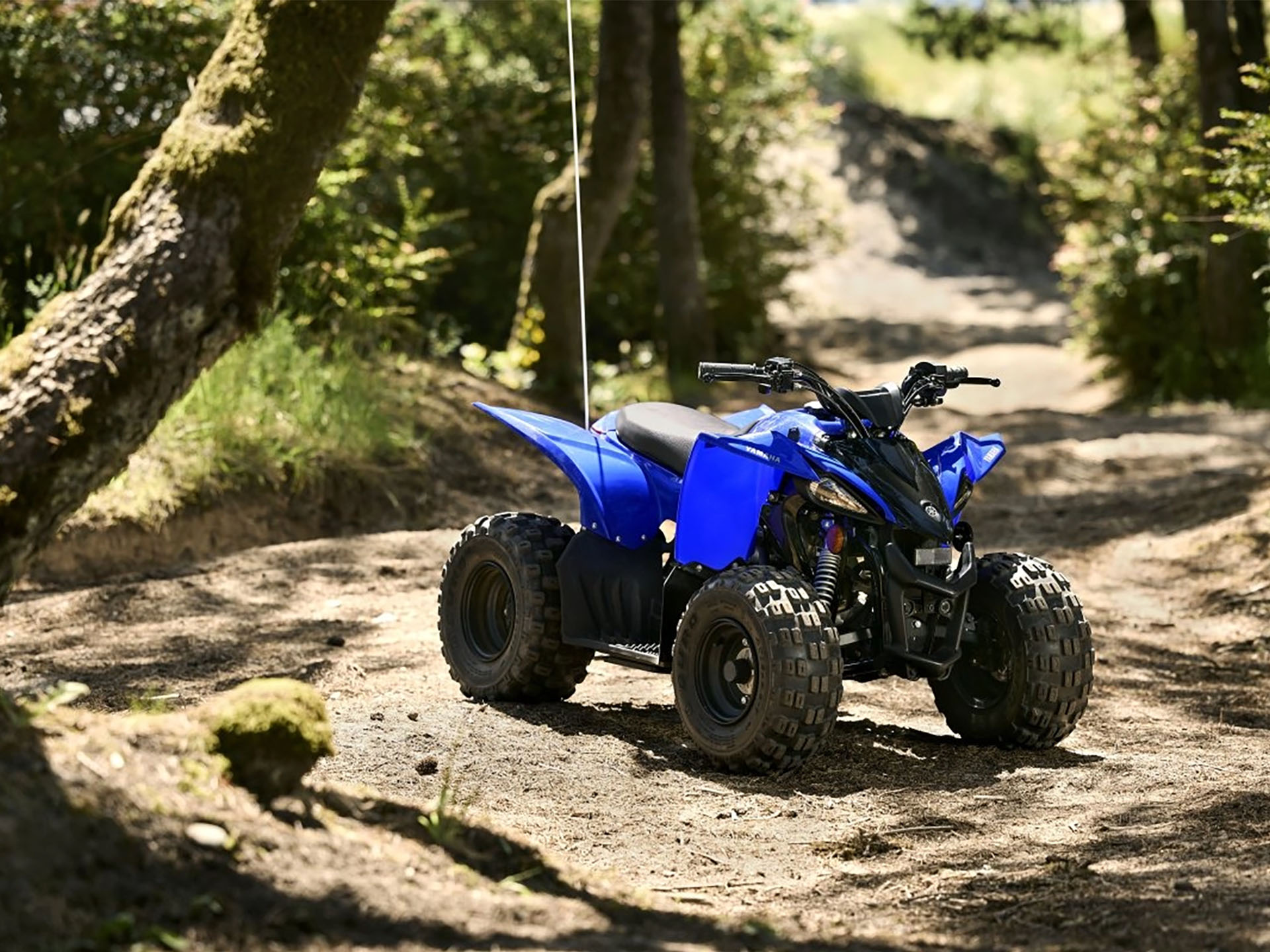 2025 Yamaha YFZ50 in Topeka, Kansas - Photo 11