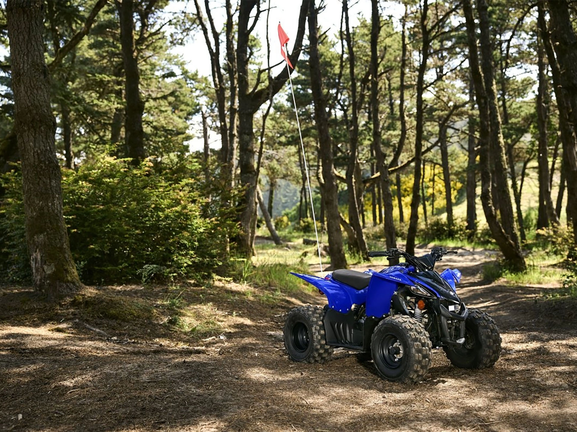 2025 Yamaha YFZ50 in Topeka, Kansas - Photo 13