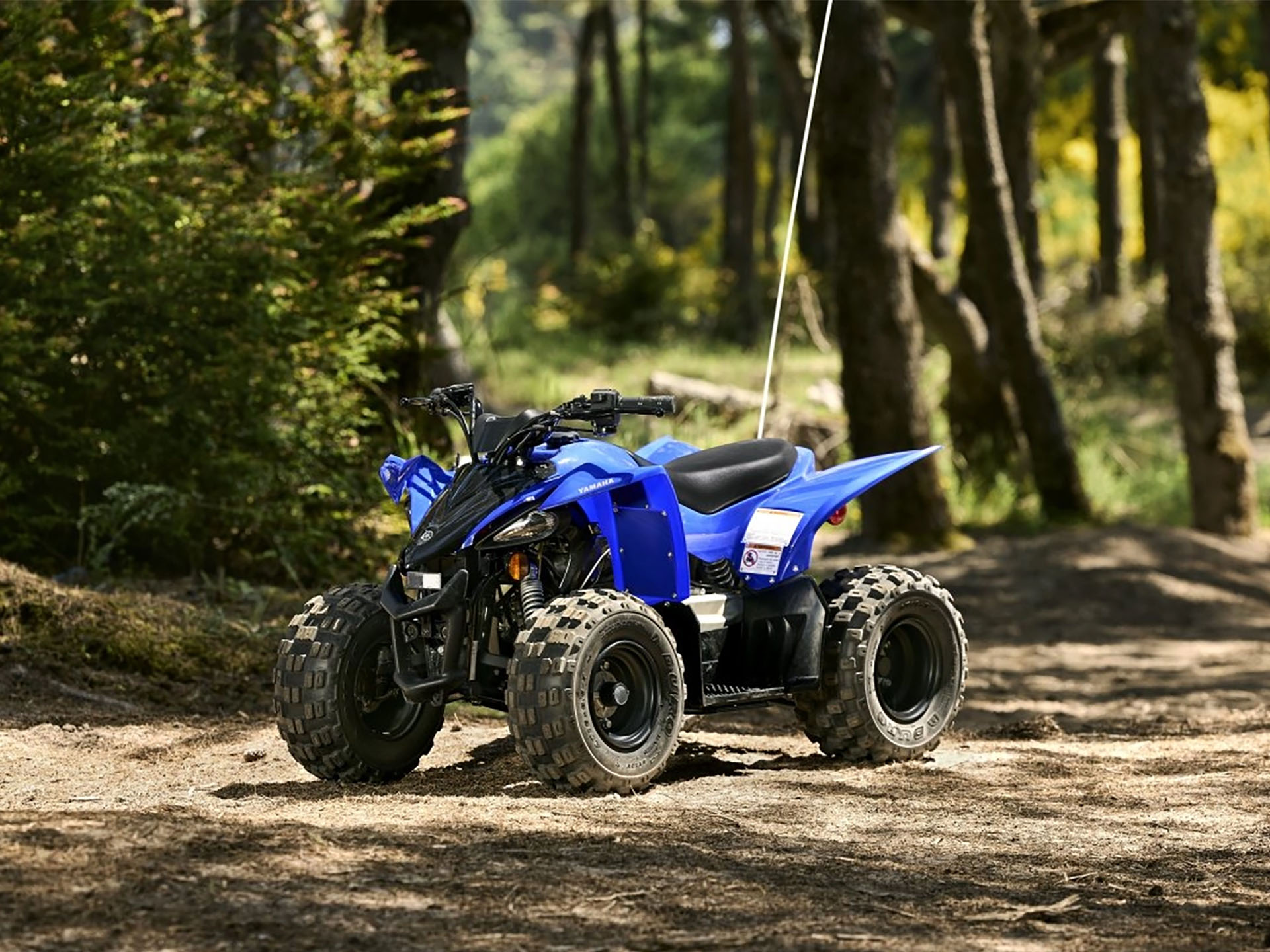 2025 Yamaha YFZ50 in Topeka, Kansas - Photo 14