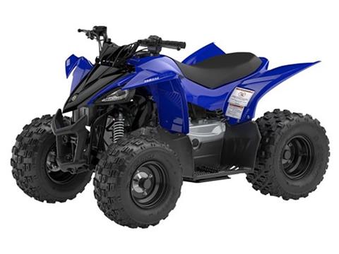 2025 Yamaha YFZ50 in Port Washington, Wisconsin - Photo 4