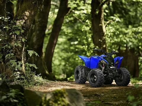 2025 Yamaha YFZ50 in Port Washington, Wisconsin - Photo 7