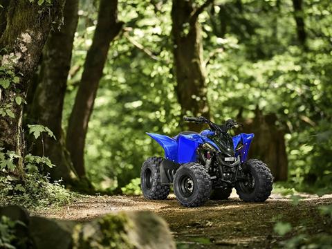 2025 Yamaha YFZ50 in Port Washington, Wisconsin - Photo 9