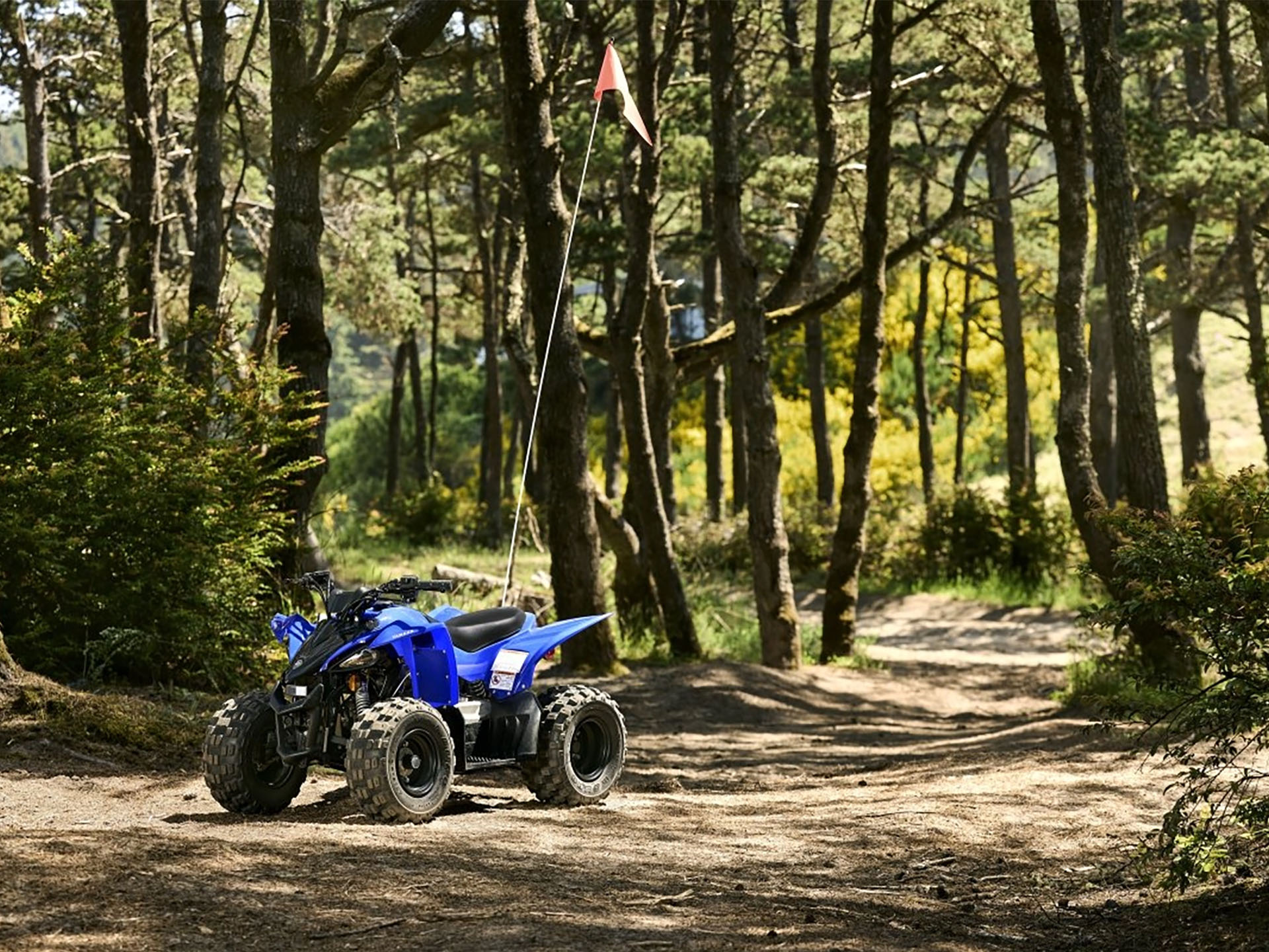 2025 Yamaha YFZ50 in Port Washington, Wisconsin - Photo 10