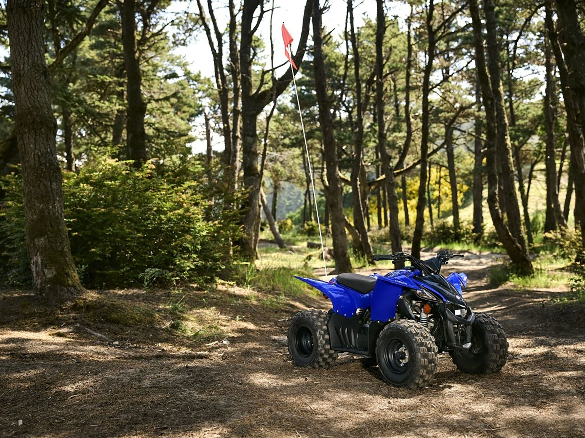 2025 Yamaha YFZ50 in Port Washington, Wisconsin - Photo 13