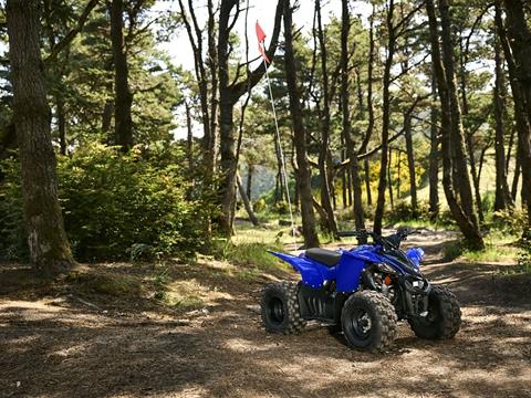 2025 Yamaha YFZ50 in Port Washington, Wisconsin - Photo 13