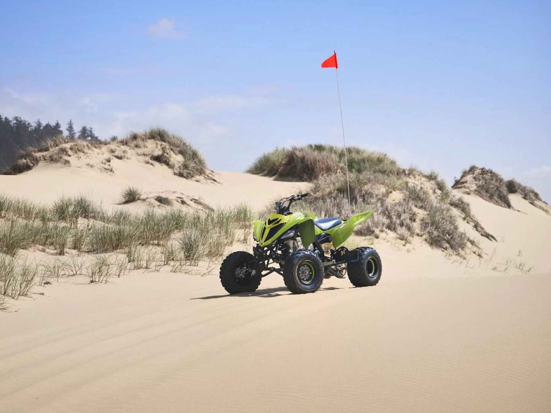 2025 Yamaha Raptor 700R SE in Columbia, South Carolina - Photo 12