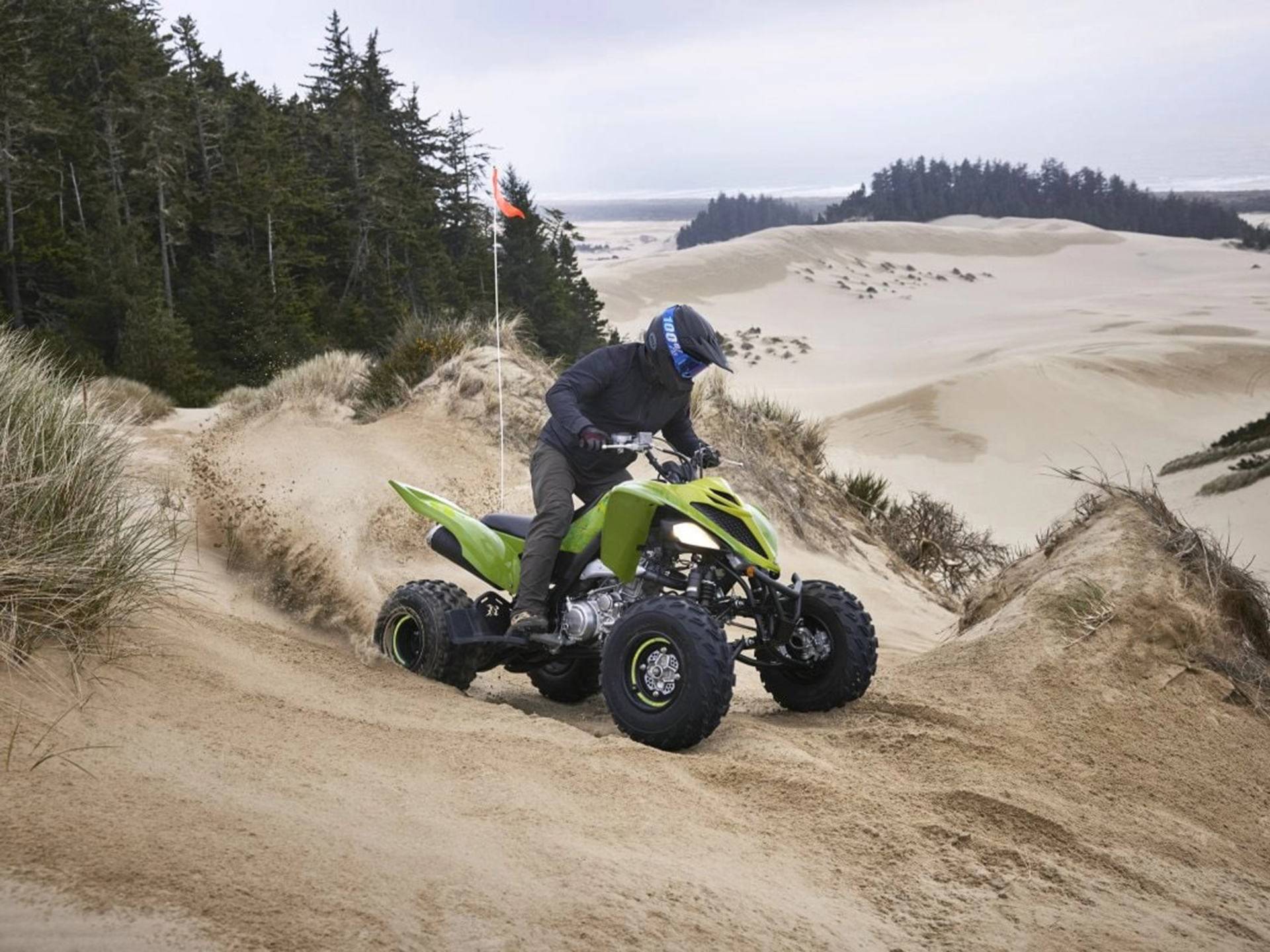 2025 Yamaha Raptor 700R SE in Columbia, South Carolina - Photo 15