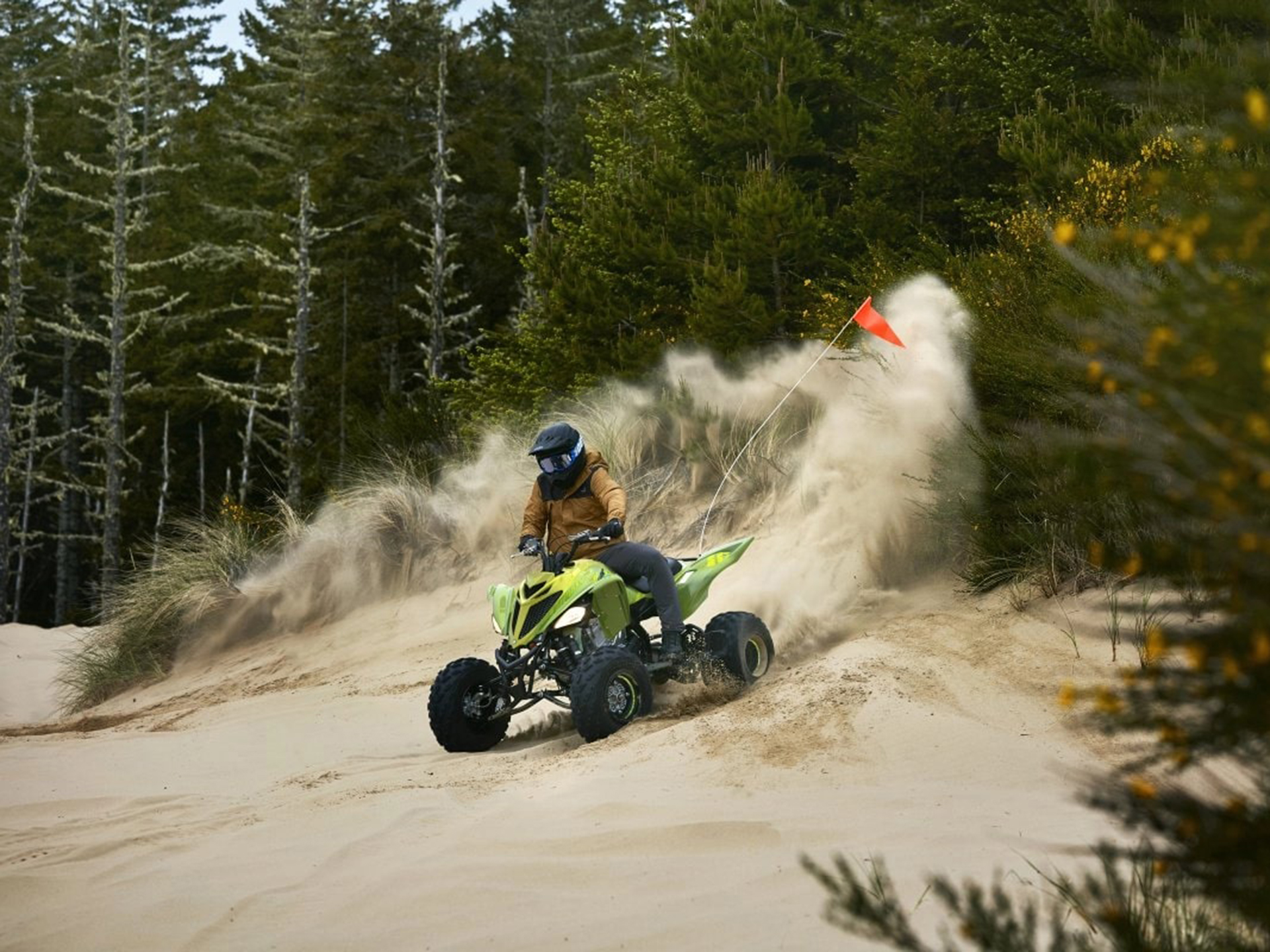 2025 Yamaha Raptor 700R SE in Columbia, South Carolina - Photo 16