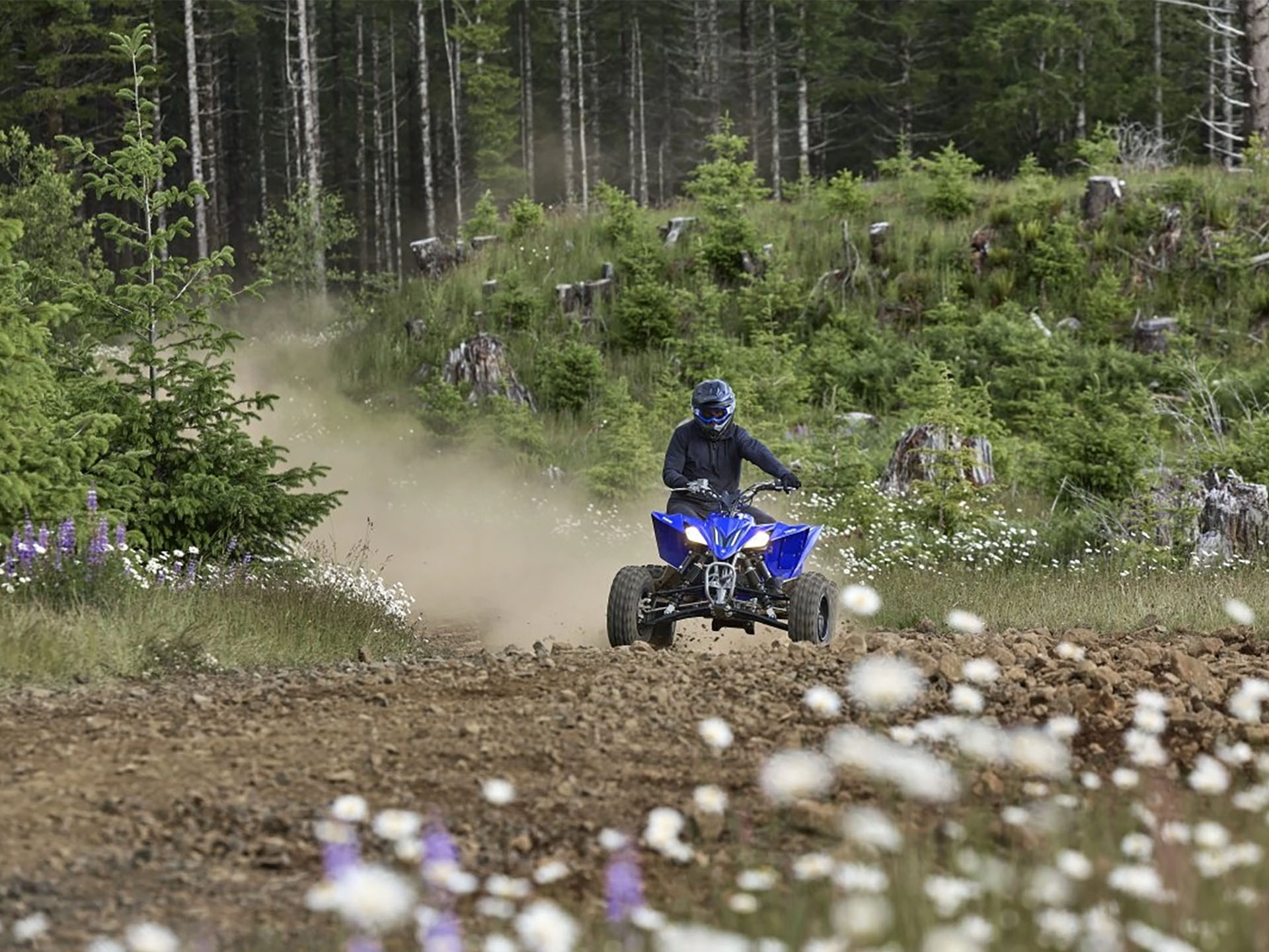 2025 Yamaha YFZ450R in Port Washington, Wisconsin - Photo 20