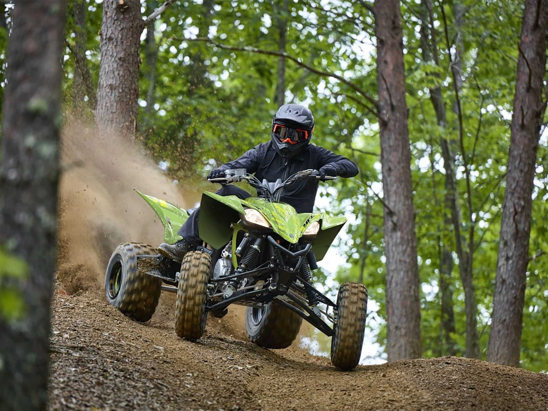 2025 Yamaha YFZ450R SE in Saint Maries, Idaho - Photo 11