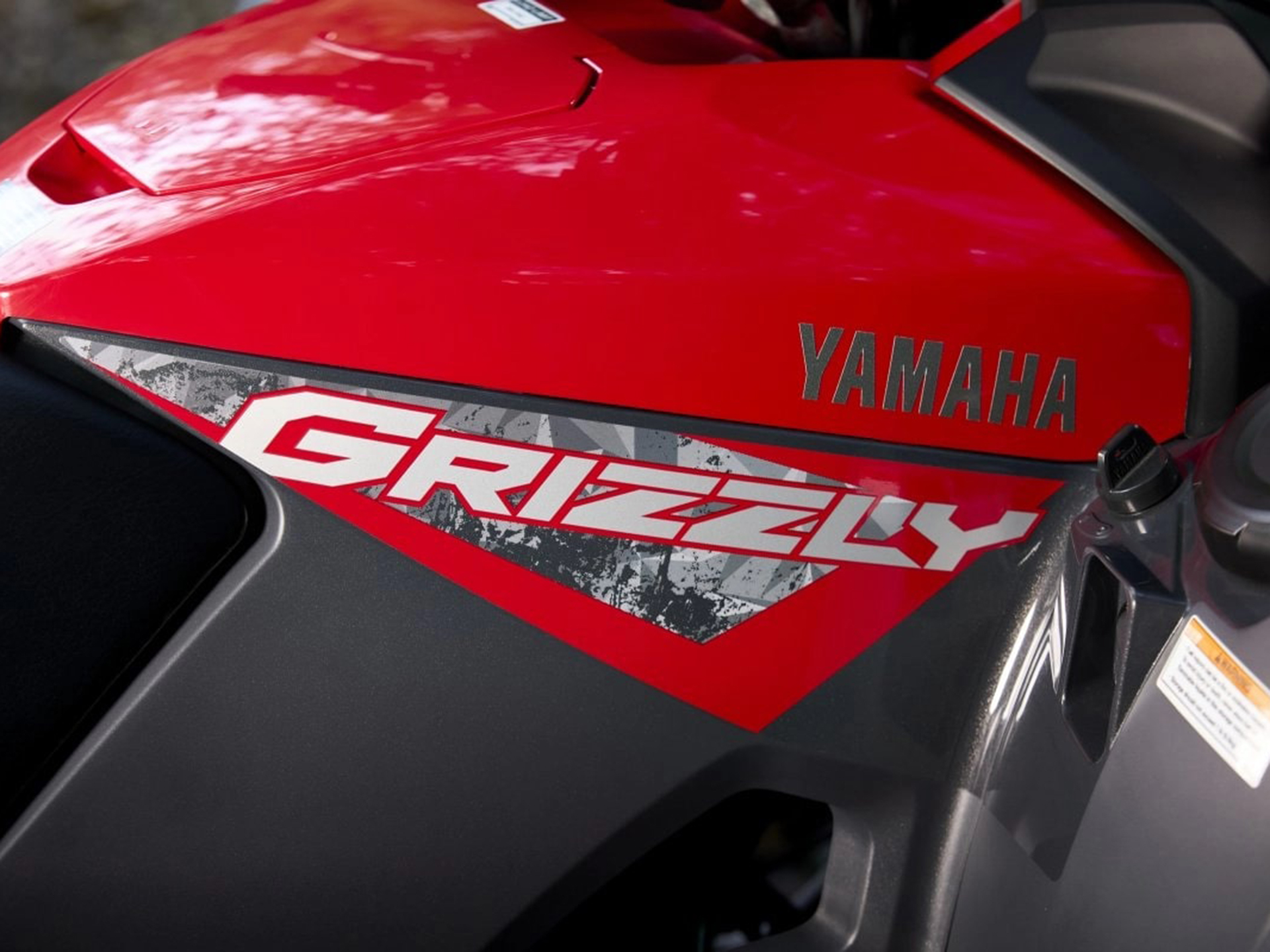 2025 Yamaha Grizzly EPS in Saint Maries, Idaho - Photo 12