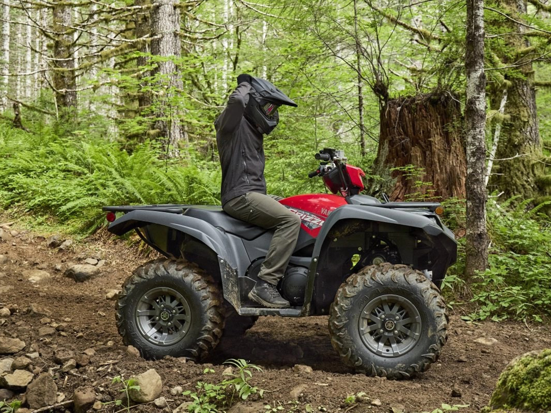 2025 Yamaha Grizzly EPS in Saint Maries, Idaho - Photo 16