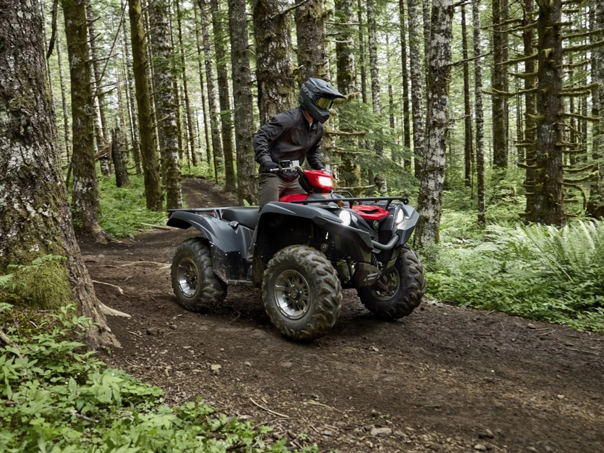 2025 Yamaha Grizzly EPS in Saint Maries, Idaho - Photo 17