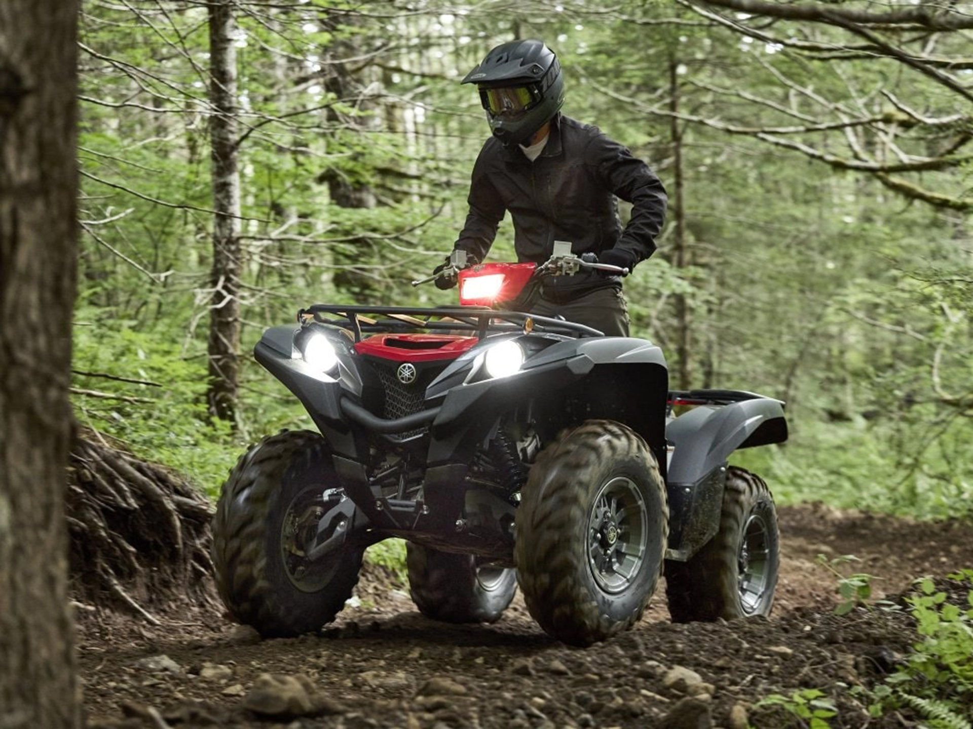 2025 Yamaha Grizzly EPS in Saint Maries, Idaho - Photo 18