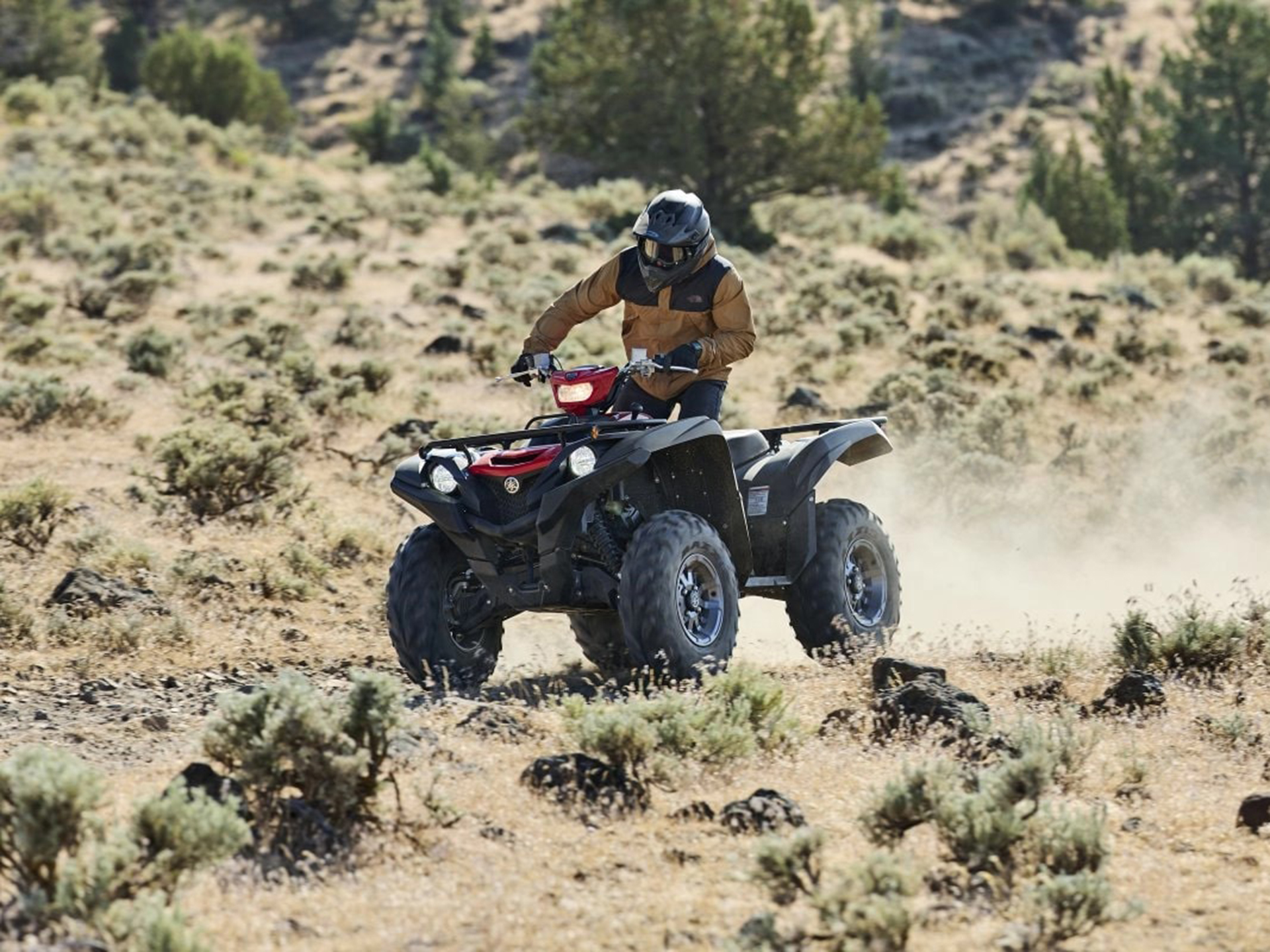 2025 Yamaha Grizzly EPS in Saint Maries, Idaho - Photo 20