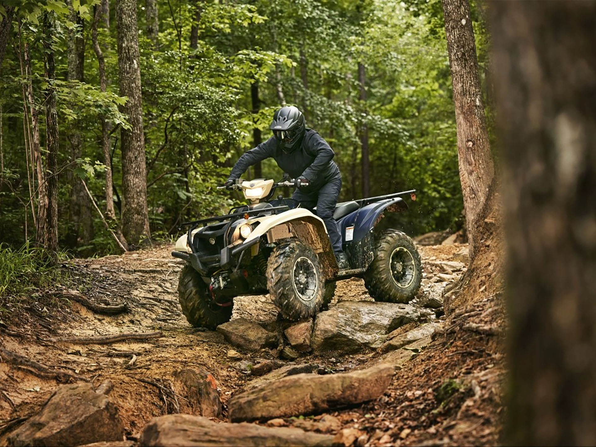 2025 Yamaha Kodiak 700 EPS SE in Long Island City, New York - Photo 10