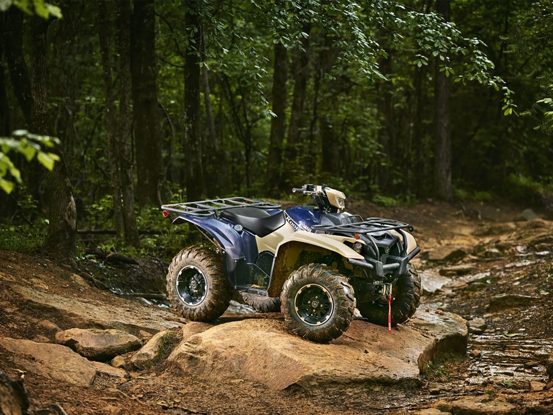 2025 Yamaha Kodiak 700 EPS SE in Long Island City, New York - Photo 18