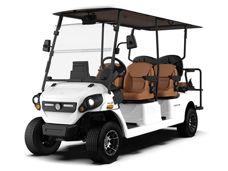 2025 Yamaha Pilotcar PC-4 in Saint Maries, Idaho - Photo 1