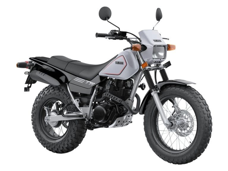 2025 Yamaha TW200 in Saint Maries, Idaho - Photo 3