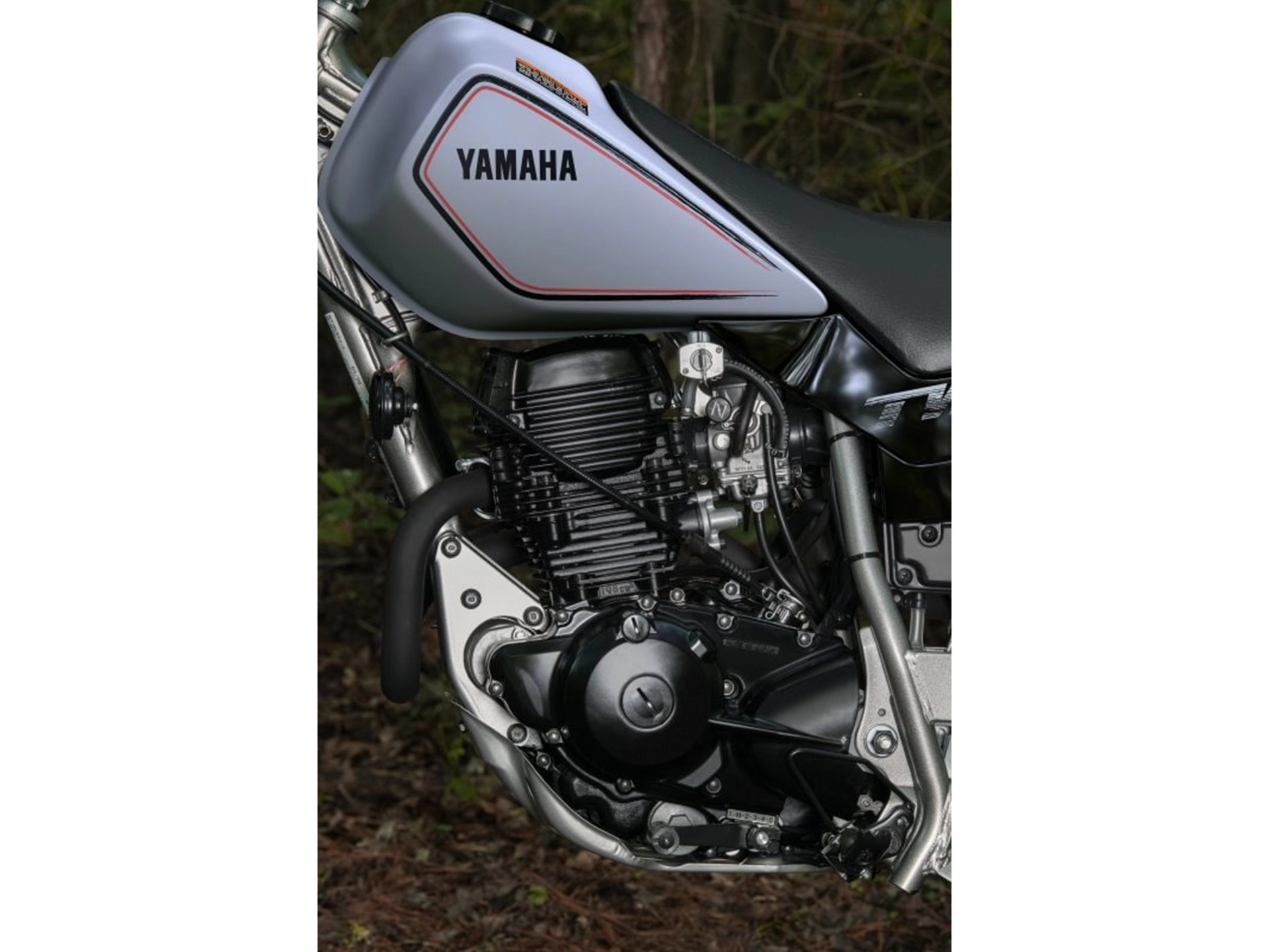 2025 Yamaha TW200 in Saint Maries, Idaho - Photo 11