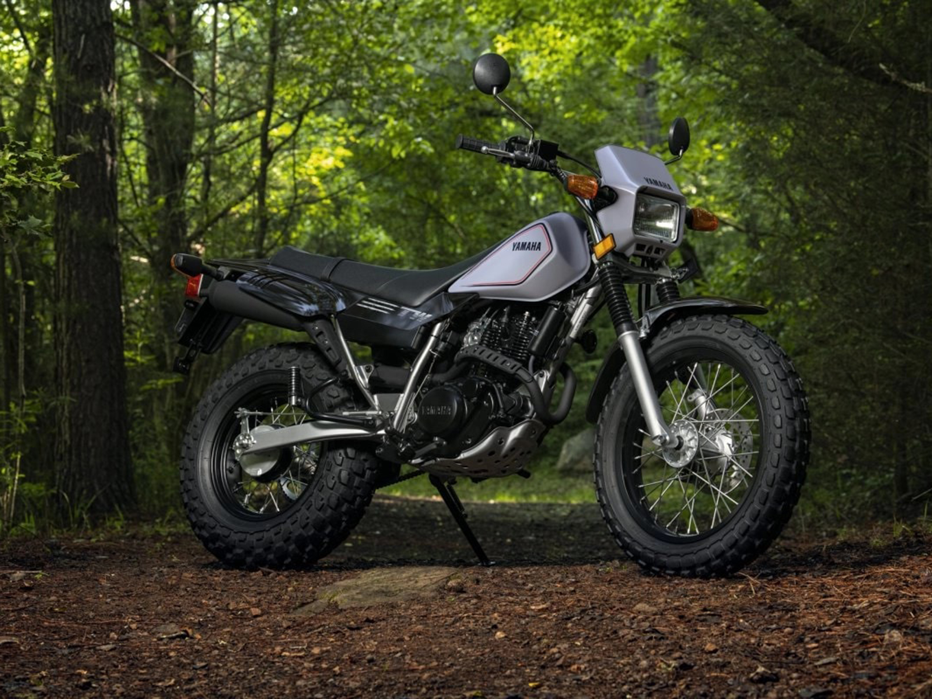 2025 Yamaha TW200 in Saint Maries, Idaho - Photo 16