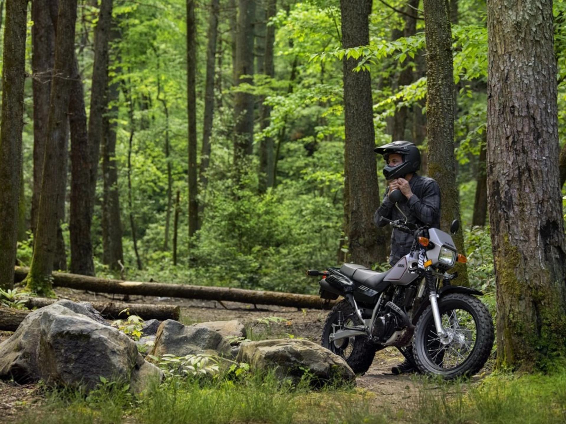2025 Yamaha TW200 in Saint Maries, Idaho - Photo 17