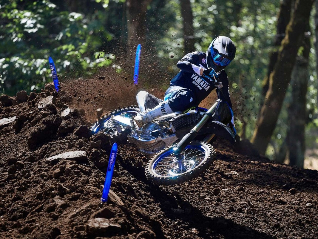 2025 Yamaha YZ450F Monster Energy Edition in Saint Maries, Idaho - Photo 9