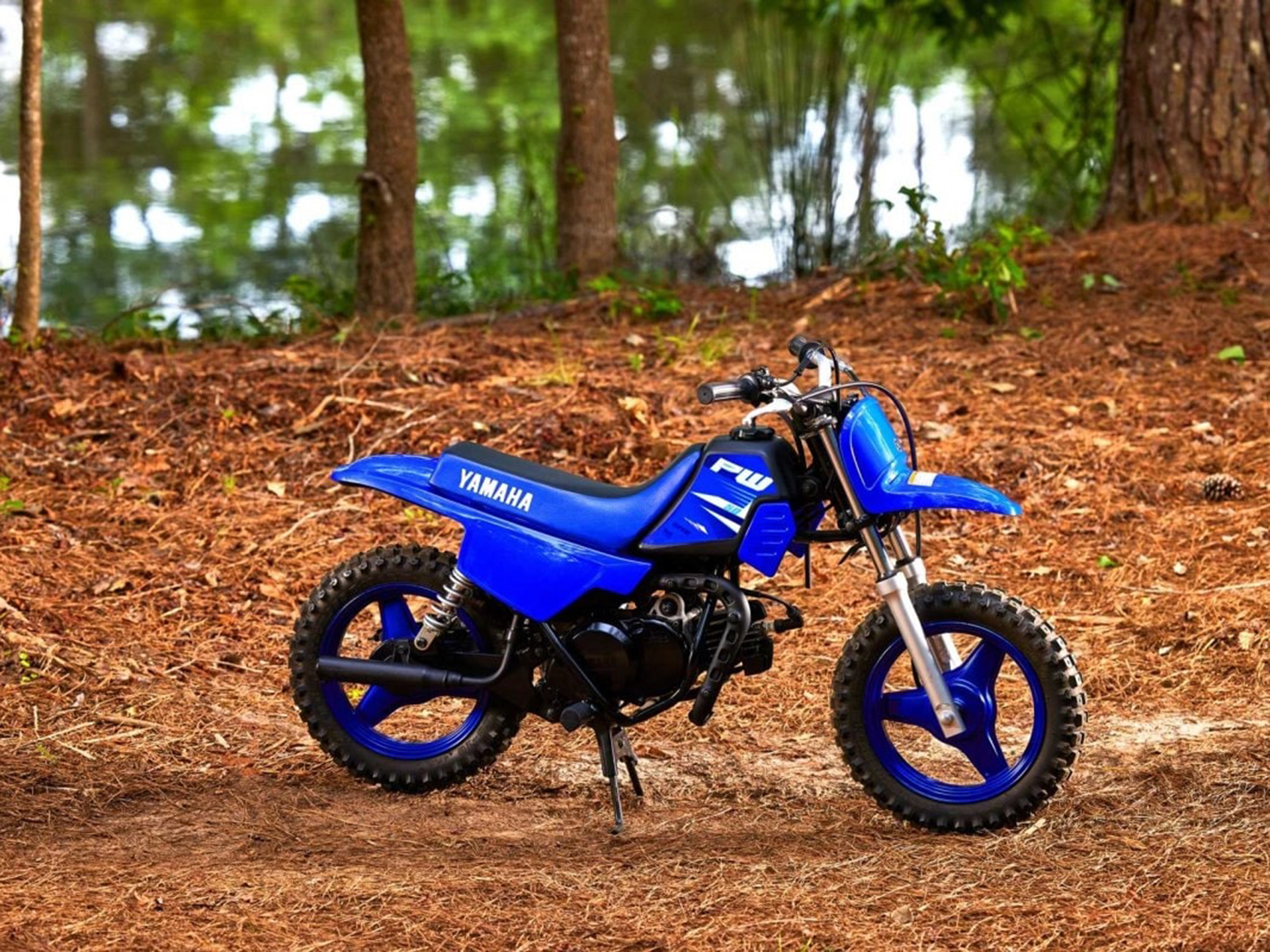 2025 Yamaha PW50 in Port Washington, Wisconsin - Photo 12