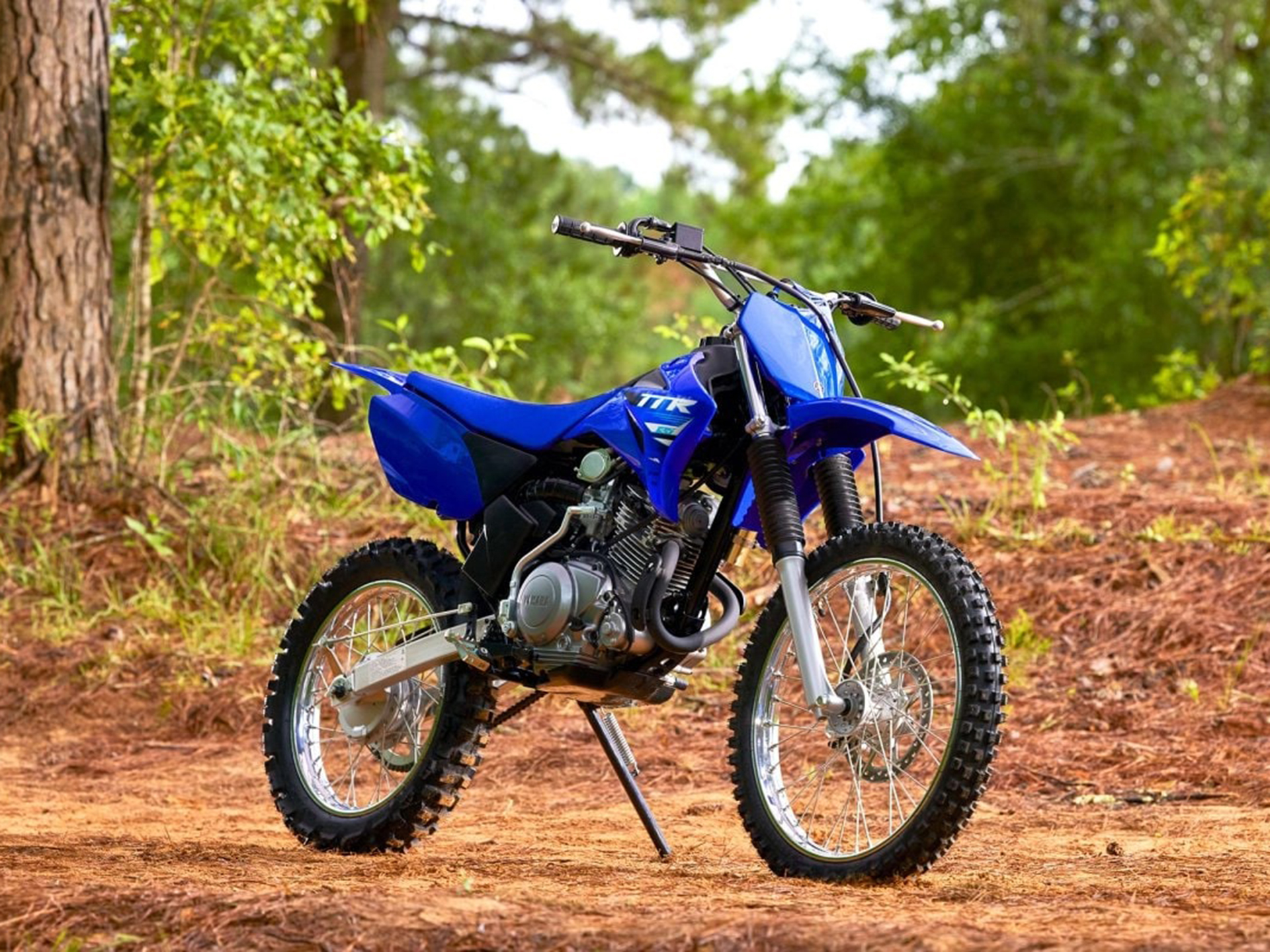 2025 Yamaha TT-R125LE in Santa Maria, California - Photo 10