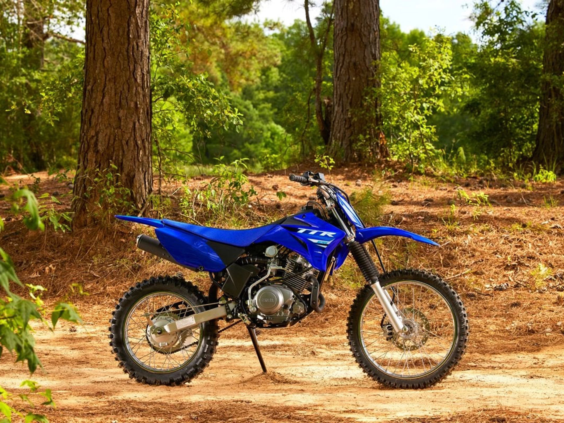 2025 Yamaha TT R125LE Motorcycles for Sale Lockport IL Specs Price New Team Yamaha Blue