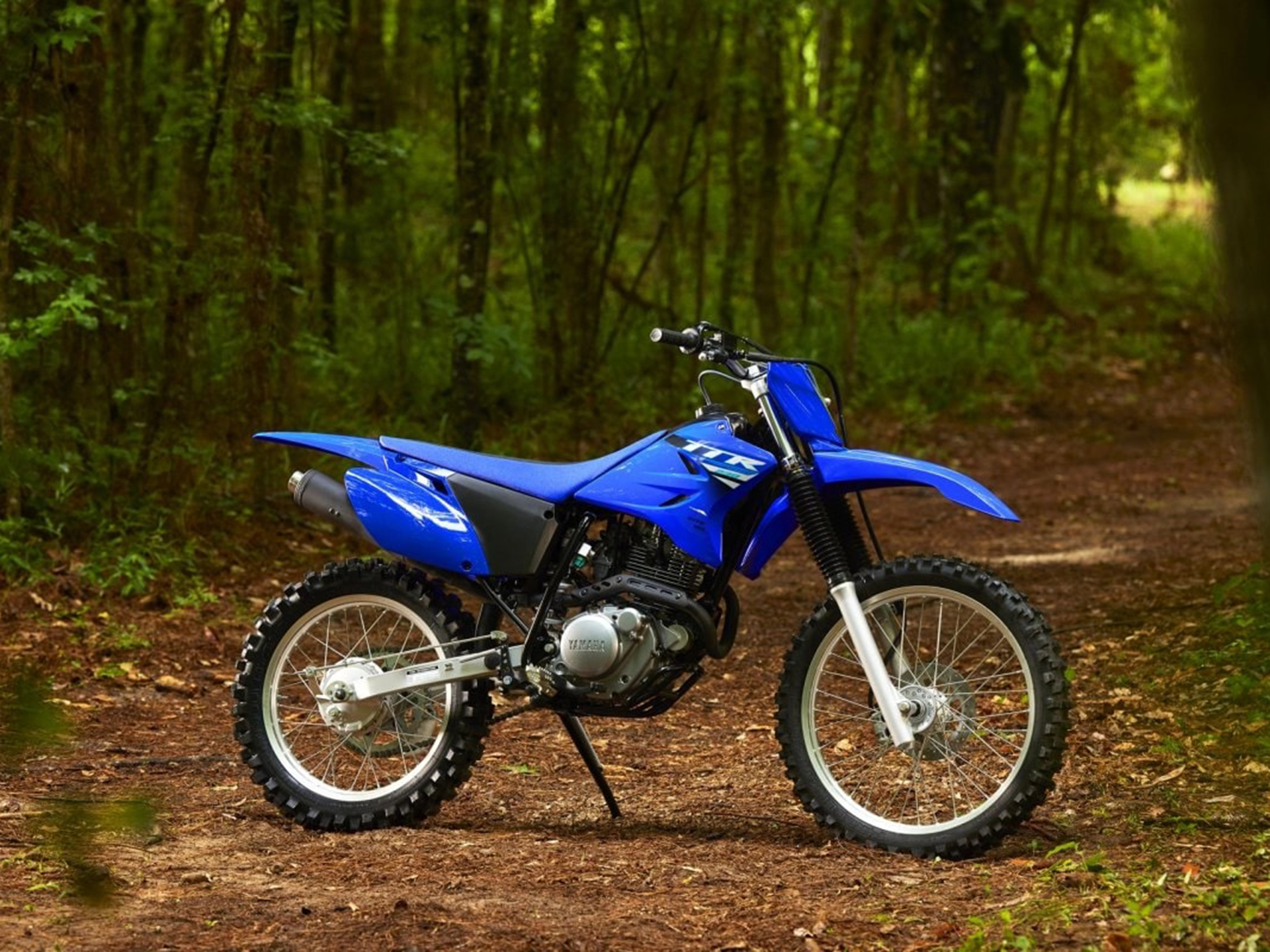 2025 Yamaha TT-R230 in Santa Maria, California - Photo 10