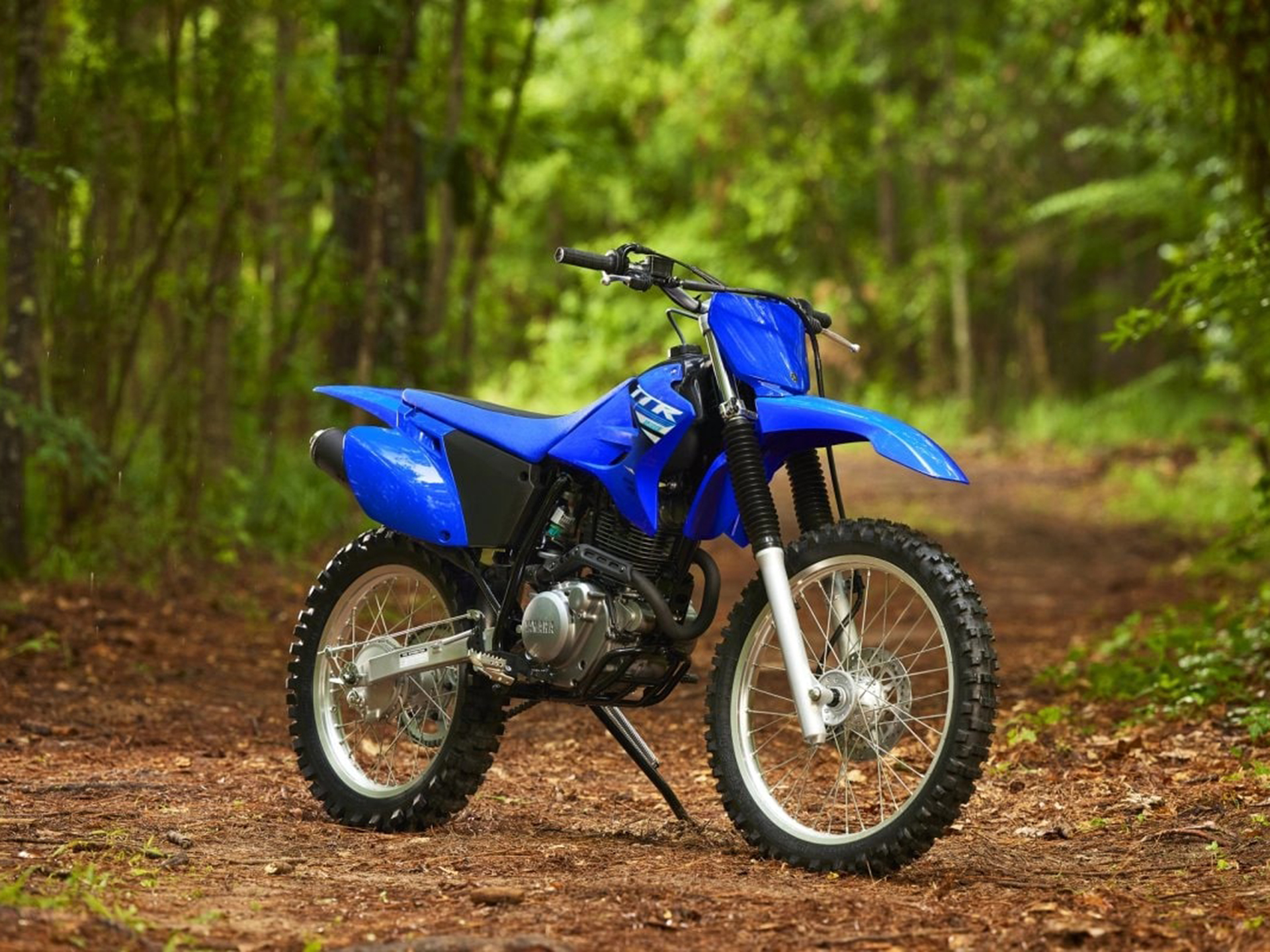 2025 Yamaha TT-R230 in Santa Maria, California - Photo 11