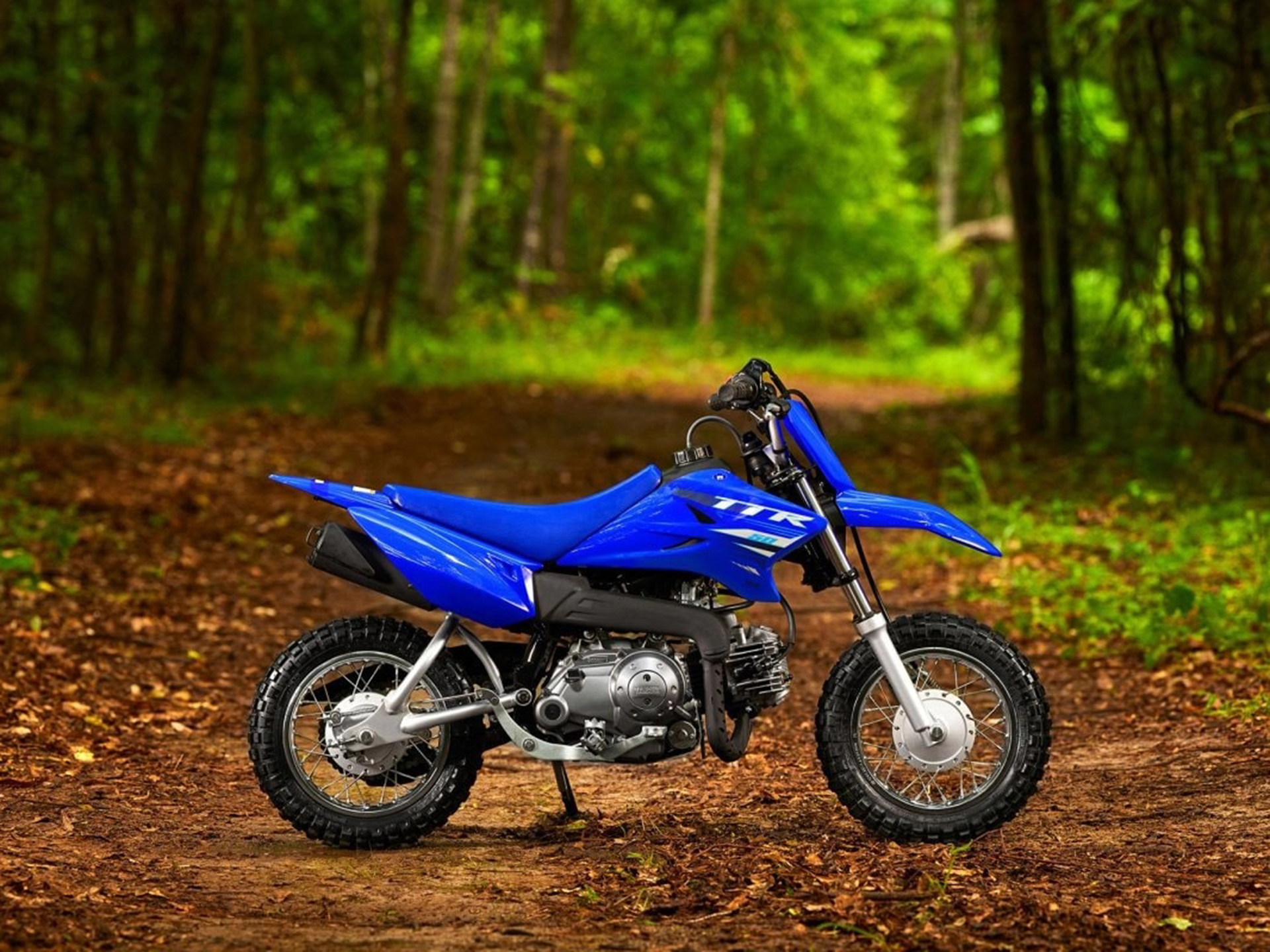 2025 Yamaha TT-R50E in Pine Bluff, Arkansas - Photo 9