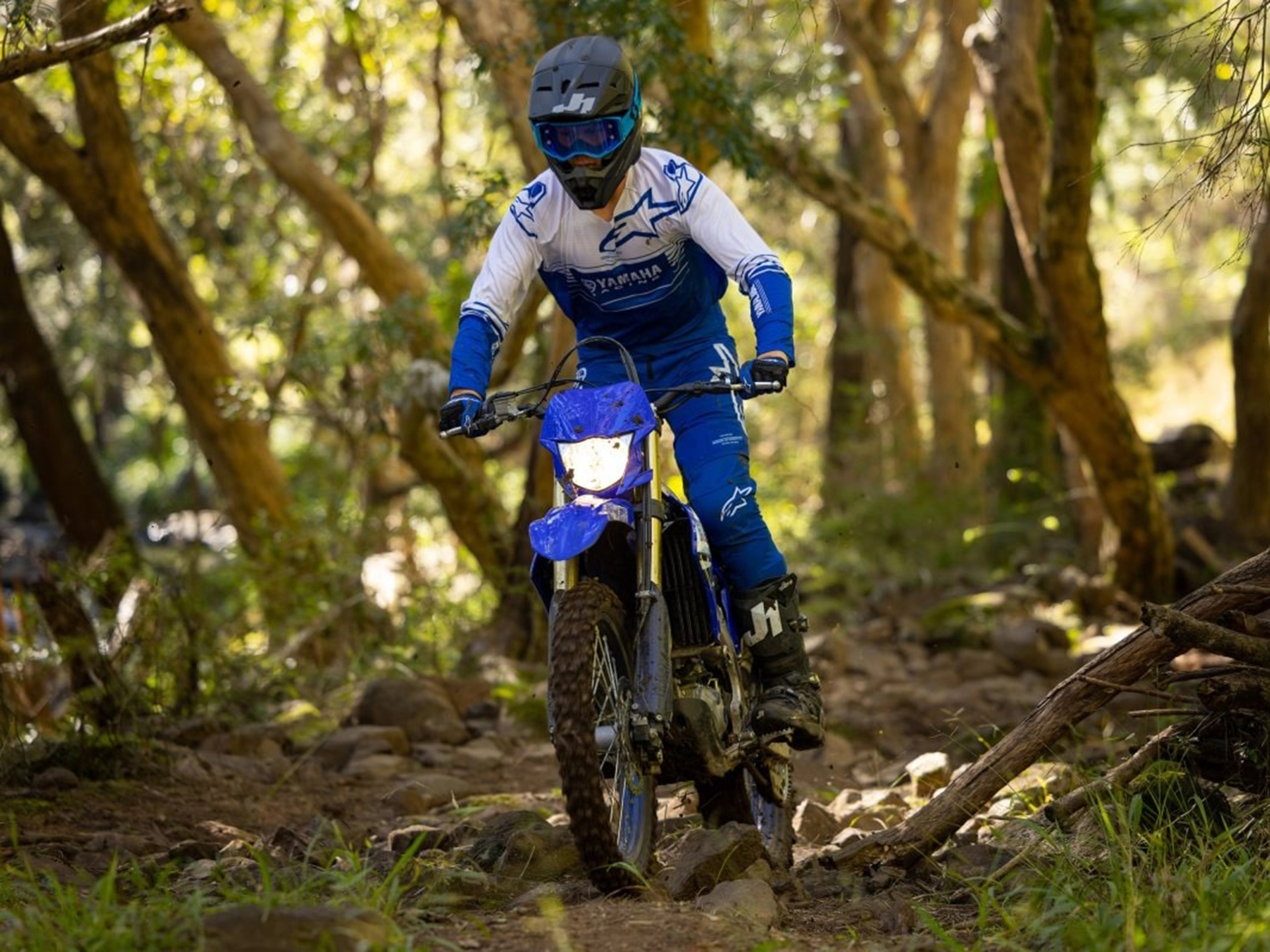 2025 Yamaha WR450F in Foxboro, Massachusetts - Photo 16