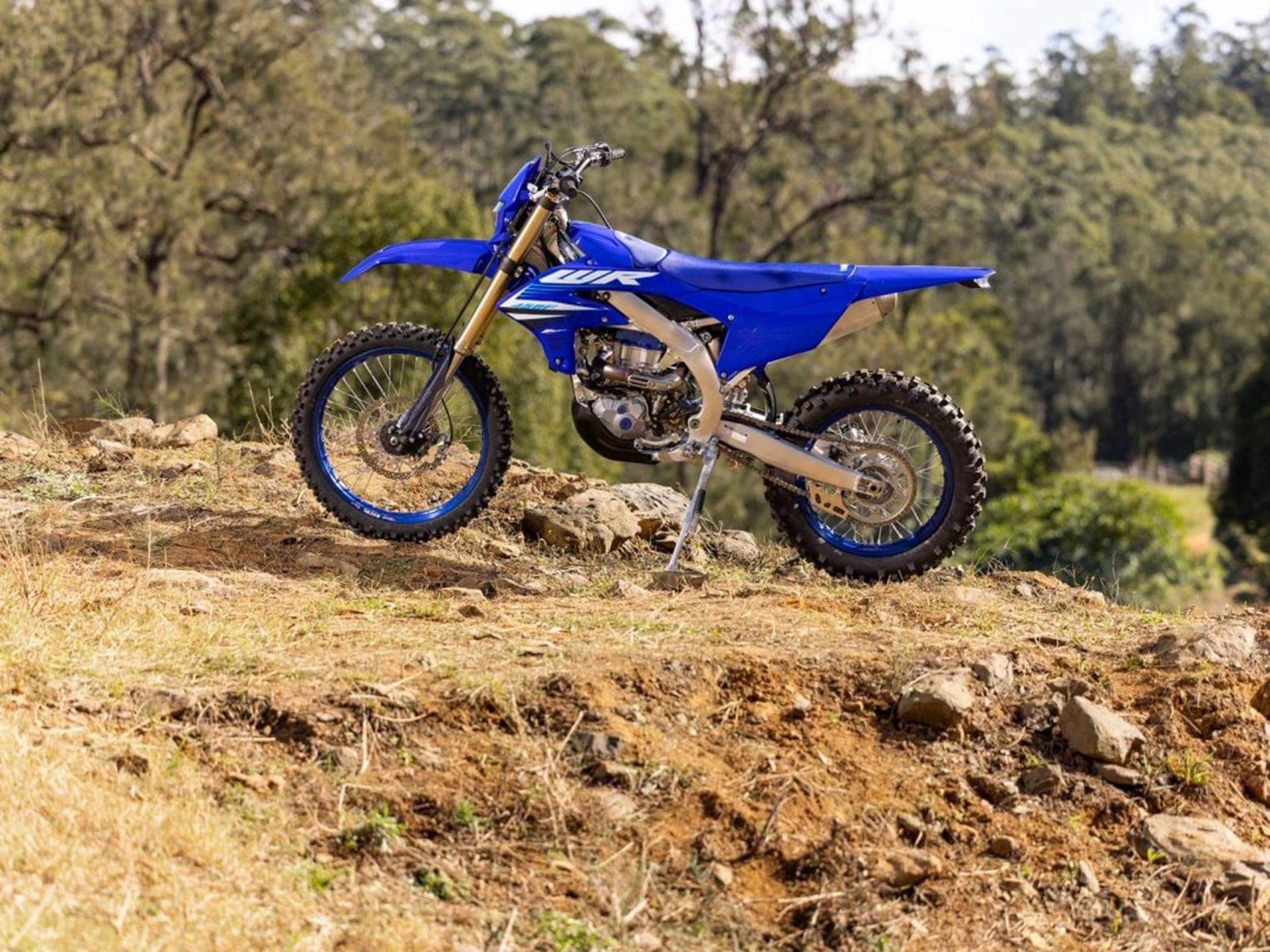 2025 Yamaha WR450F in Foxboro, Massachusetts - Photo 17