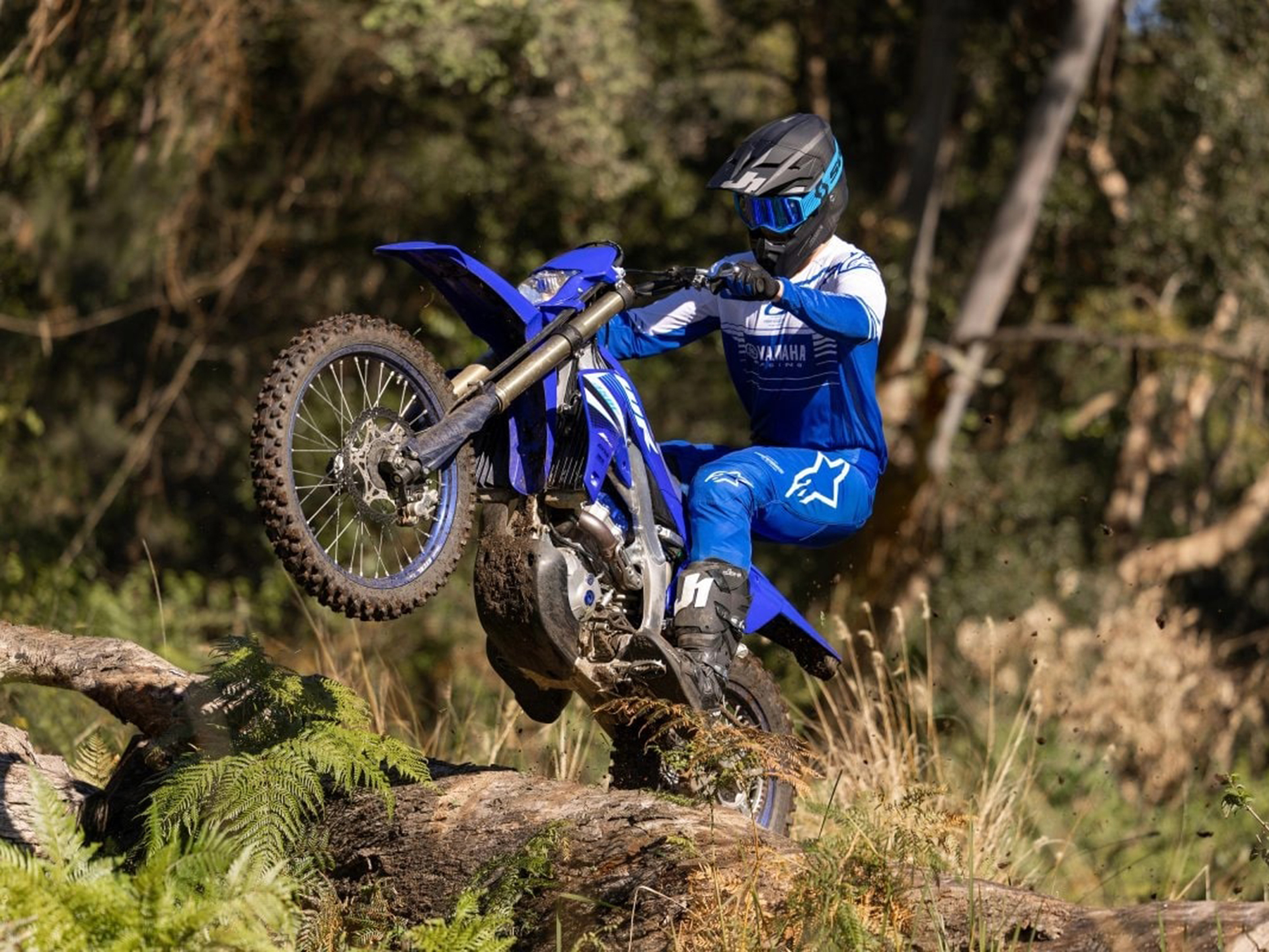2025 Yamaha WR450F in Foxboro, Massachusetts - Photo 19