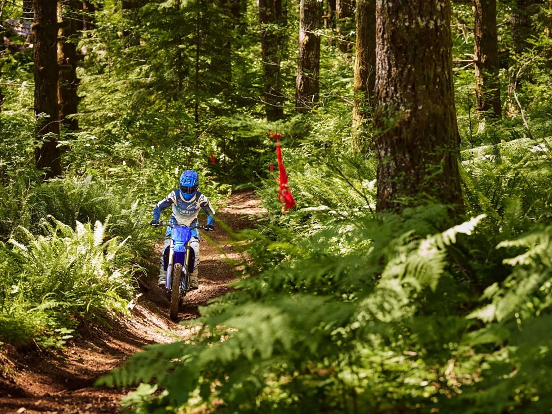 2025 Yamaha YZ250FX in Foxboro, Massachusetts - Photo 40