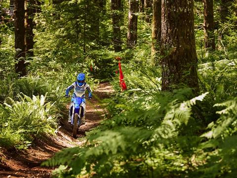 2025 Yamaha YZ250FX in Foxboro, Massachusetts - Photo 40