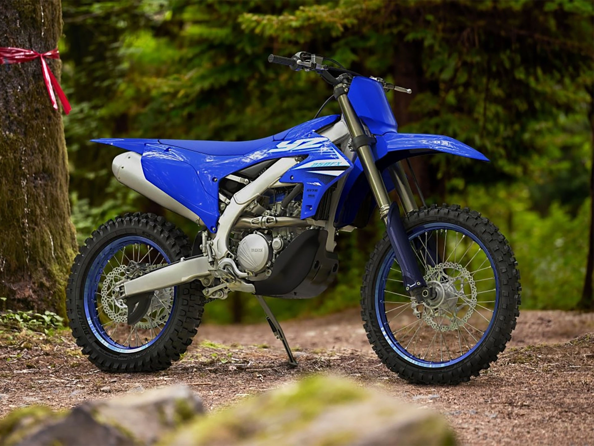 2025 Yamaha YZ250FX in Foxboro, Massachusetts - Photo 41