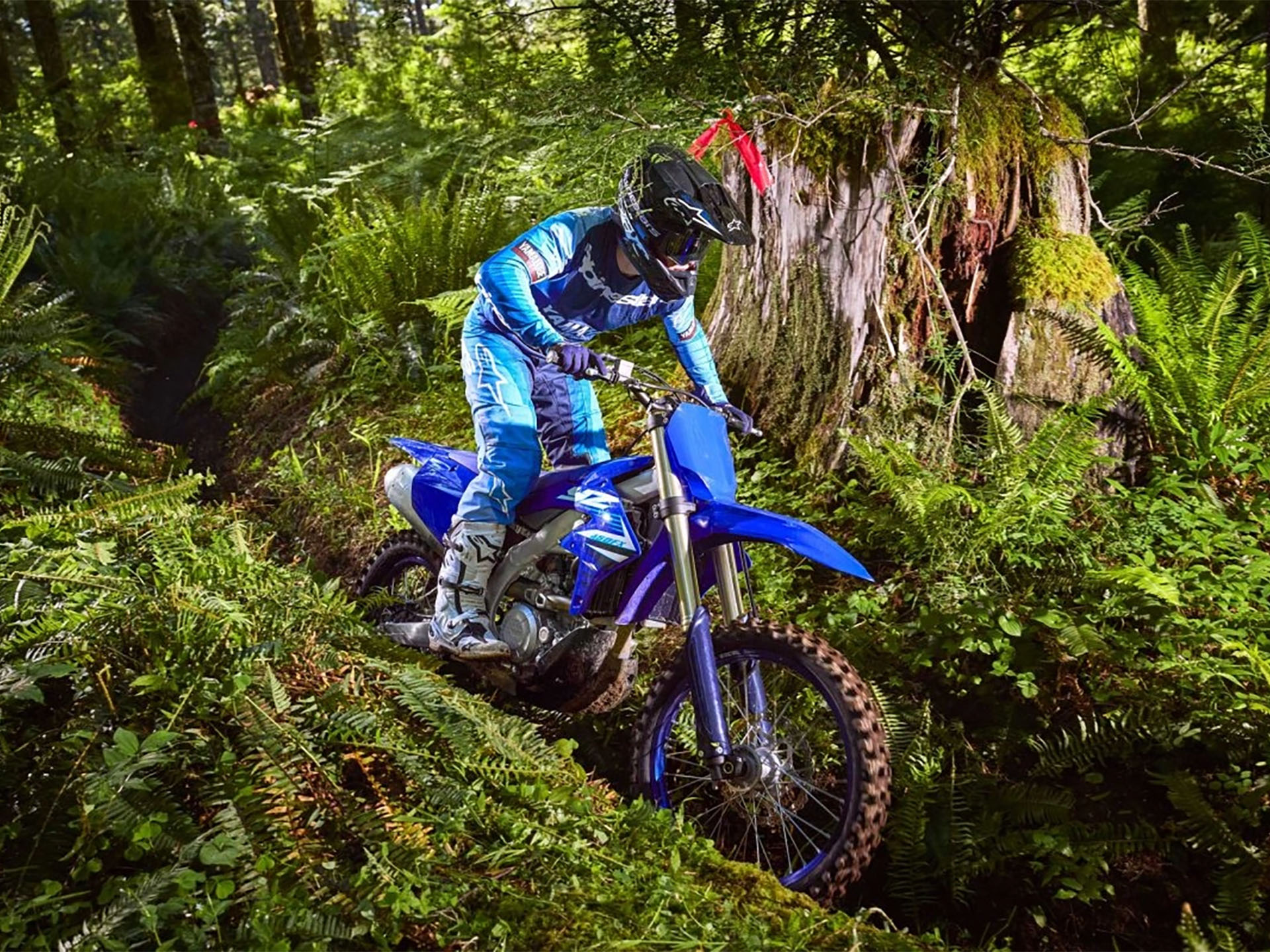 2025 Yamaha YZ450FX in Long Island City, New York - Photo 7