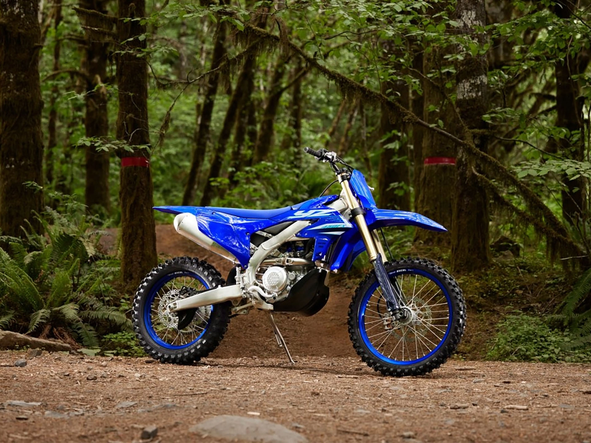 2025 Yamaha YZ450FX in Long Island City, New York - Photo 11
