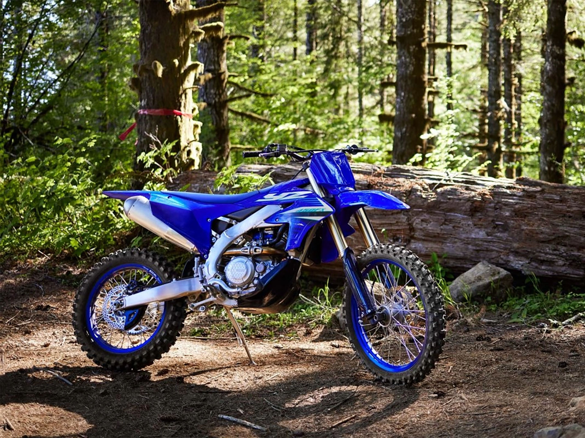 2025 Yamaha YZ450FX in Long Island City, New York - Photo 13