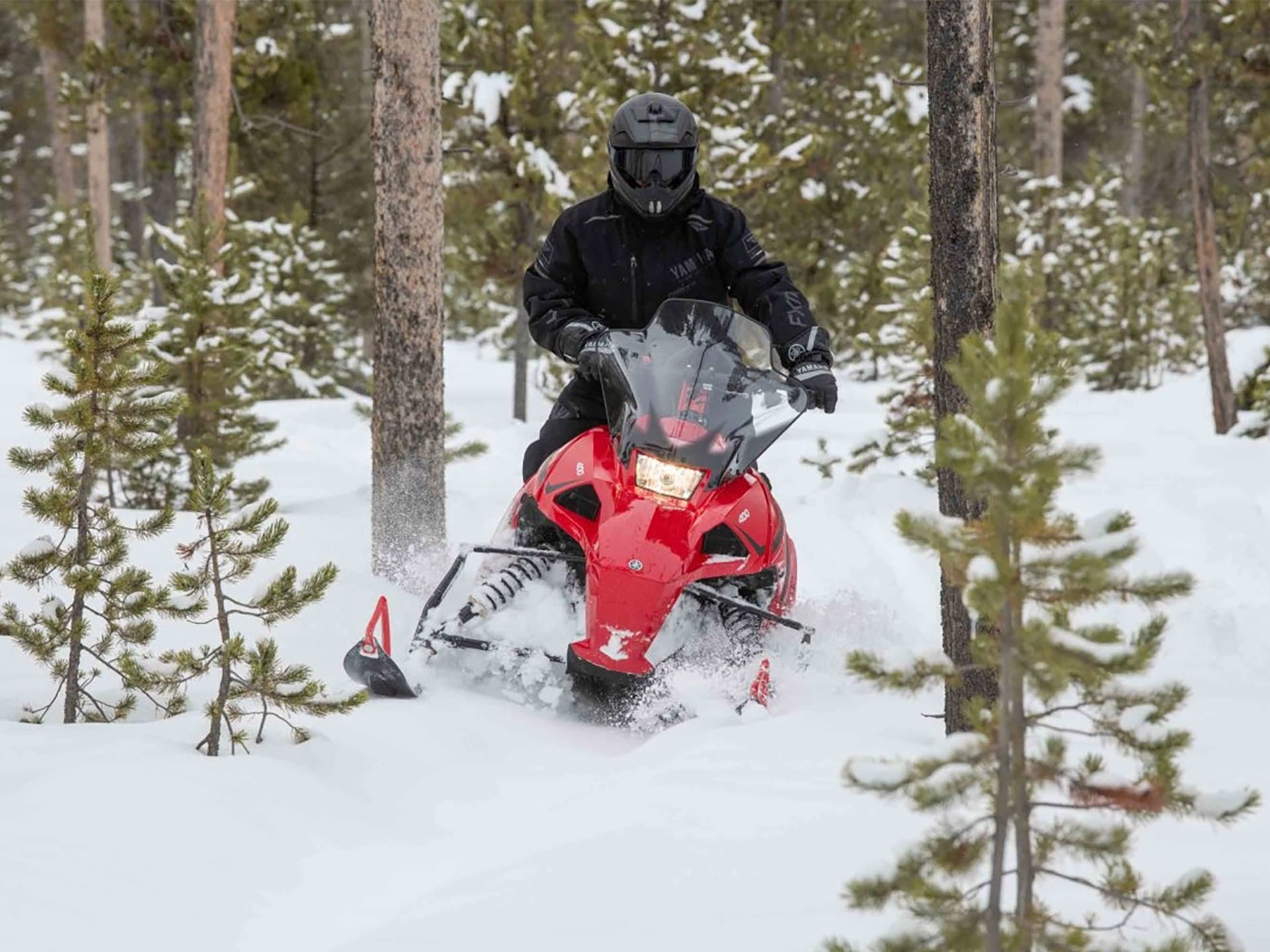 2025 Yamaha Transporter Lite in Fairview, Utah - Photo 17
