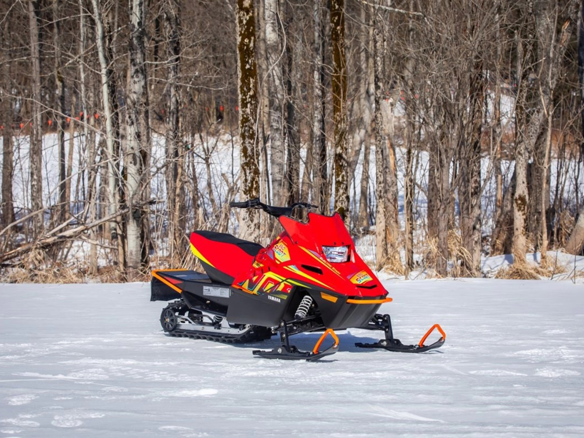 2025 Yamaha Snoscoot ES in Fairview, Utah - Photo 10
