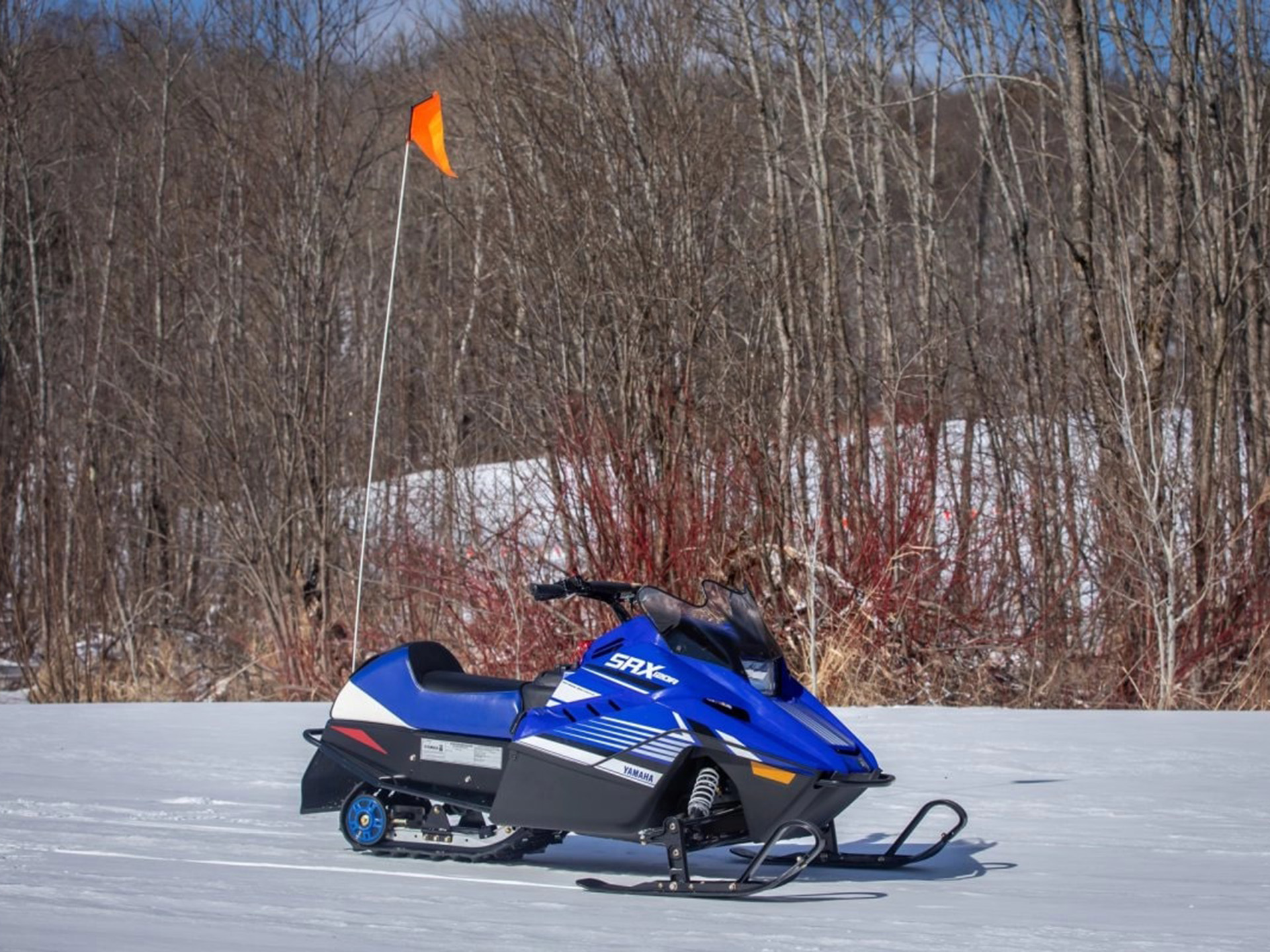 2025 Yamaha SRX120R in Saint Maries, Idaho - Photo 12