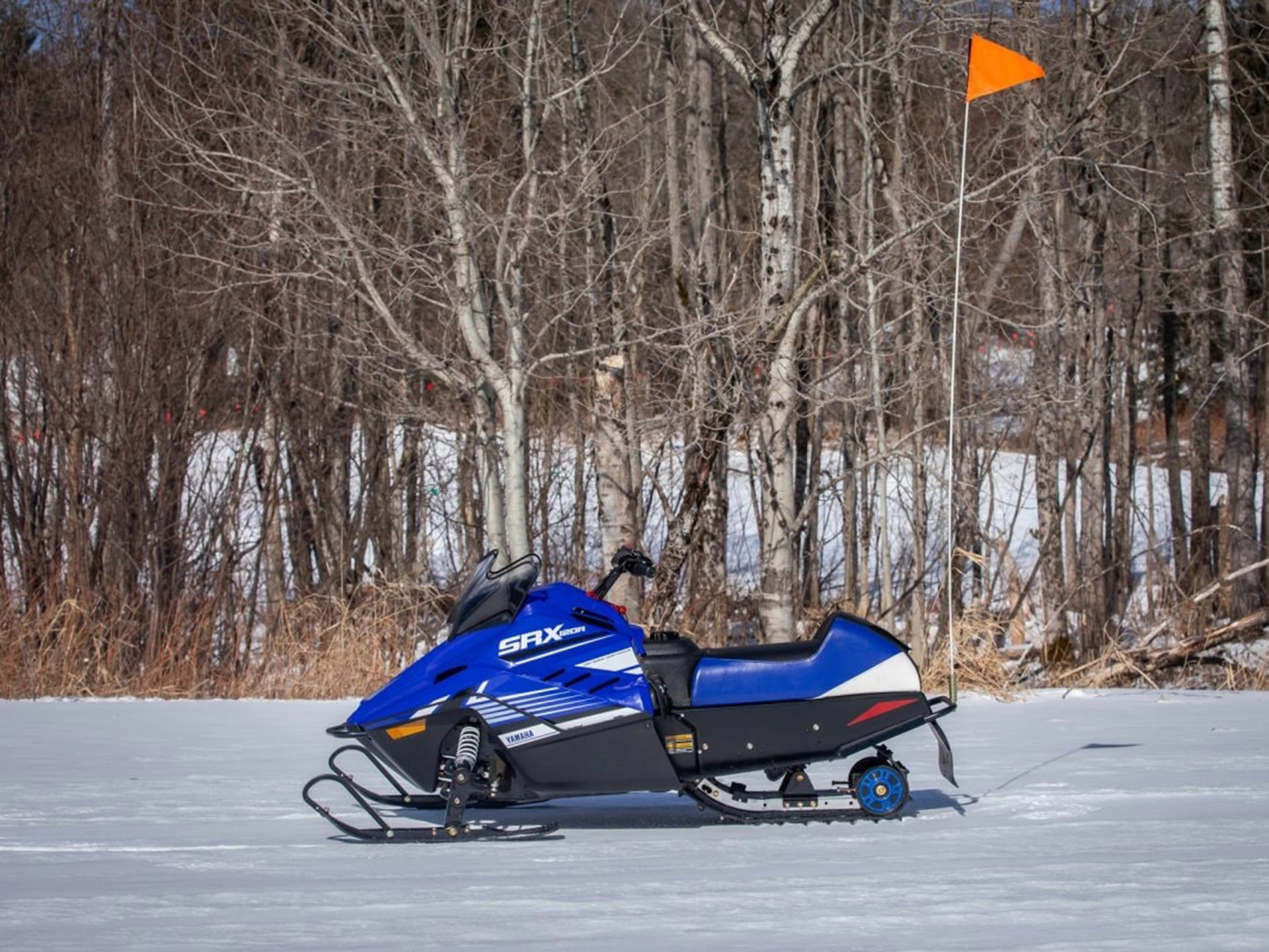 2025 Yamaha SRX120R in Saint Maries, Idaho - Photo 14