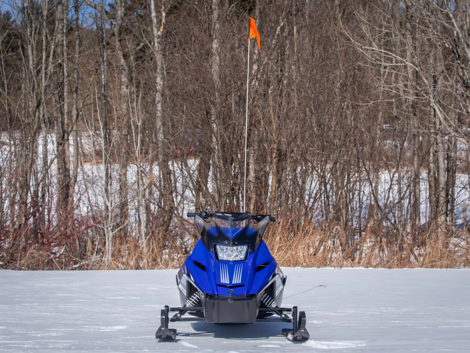 2025 Yamaha SRX120R in Saint Maries, Idaho - Photo 15